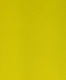 1 Yard (Yellow) 200 Denier Uncoated Nylon Flag Fabric 62" Wide