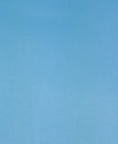 1 Yard (Blue Bird) 200 Denier Uncoated Nylon Flag Fabric 62" Wide