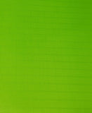 1 Yard Neon Lime Ripstop Nylon Fabric 60" wide